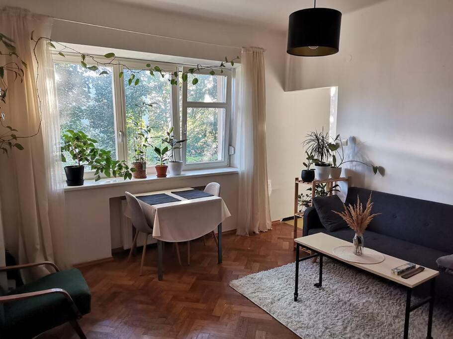 Cozy Studio In The City Centre Near Train Station ブラチスラヴァ エクステリア 写真