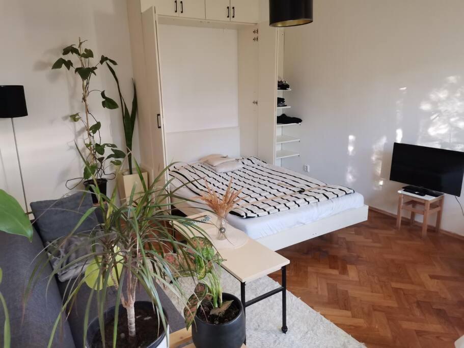 Cozy Studio In The City Centre Near Train Station ブラチスラヴァ エクステリア 写真