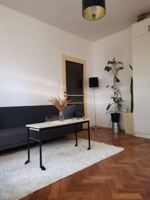 Cozy Studio In The City Centre Near Train Station ブラチスラヴァ エクステリア 写真